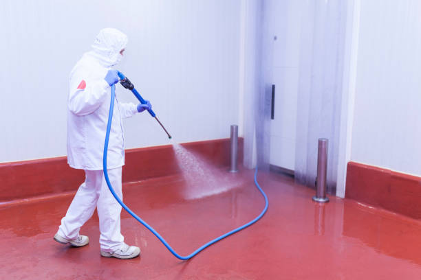Best Spring Cleaning  in Sulphur, OK
